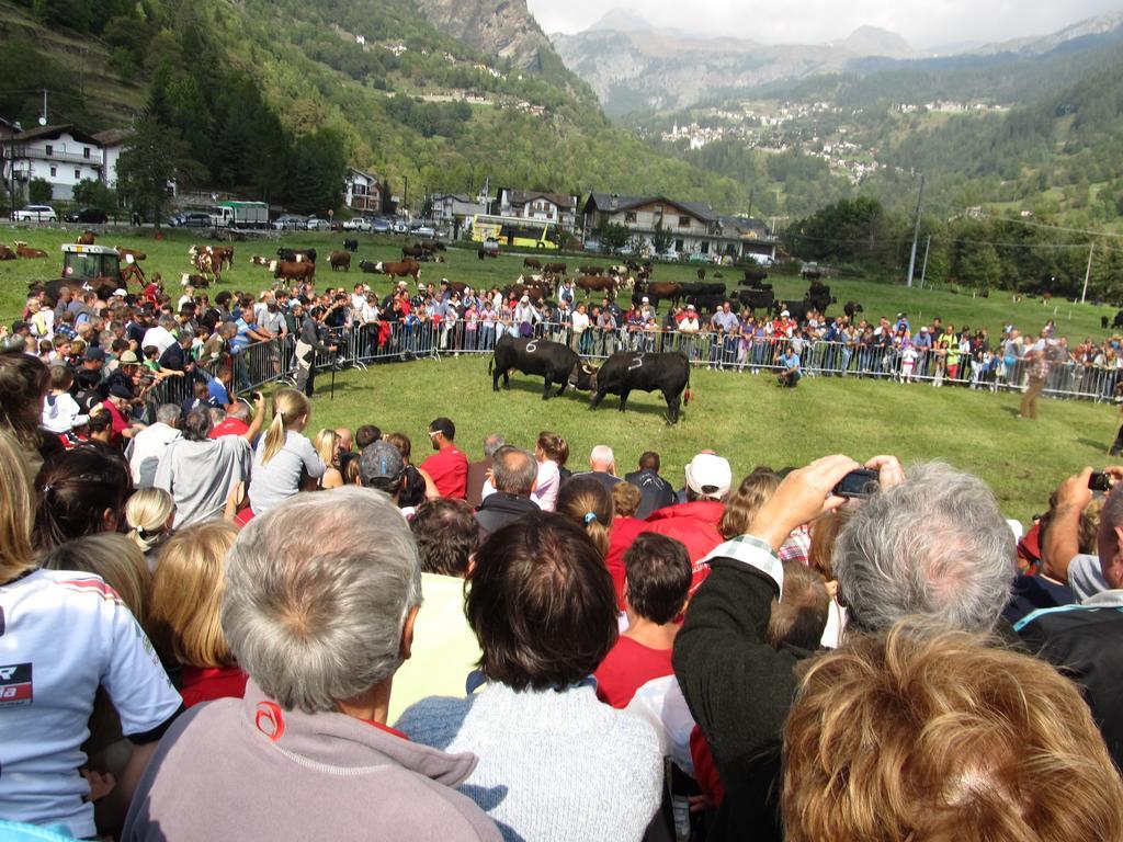 Miramonti Hotel Valtournenche Exterior photo